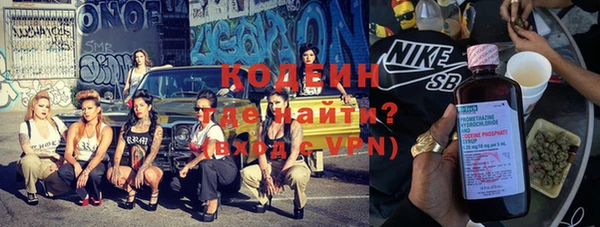 дмт Бородино