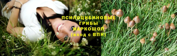 соль ск Богданович