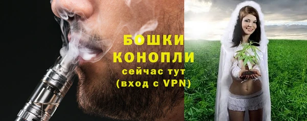 дмт Бородино