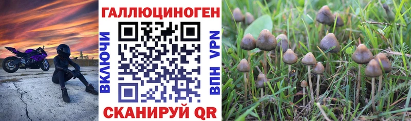 Галлюциногенные грибы мухоморы наркошоп Ворсма